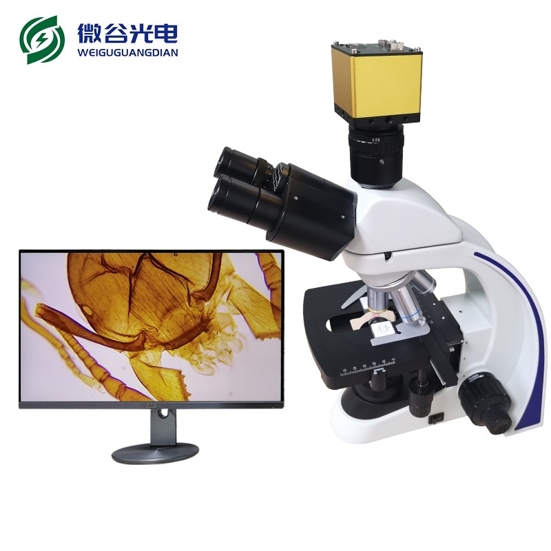 顯微鏡在藥物檢測中有哪些應用